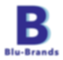 BLU BRANDS GROUP